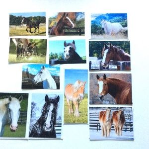 HUGE HORSE Stationary *Lot of 16*